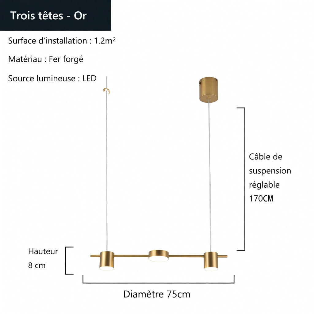 Description technique suspension luminaire multi-spots