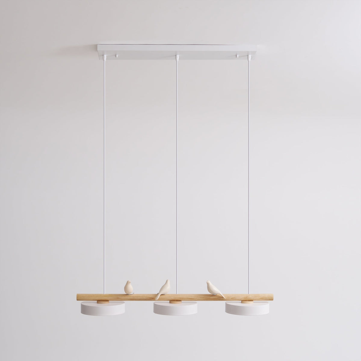 Cliff Suspension Oiseau - Neutralighting